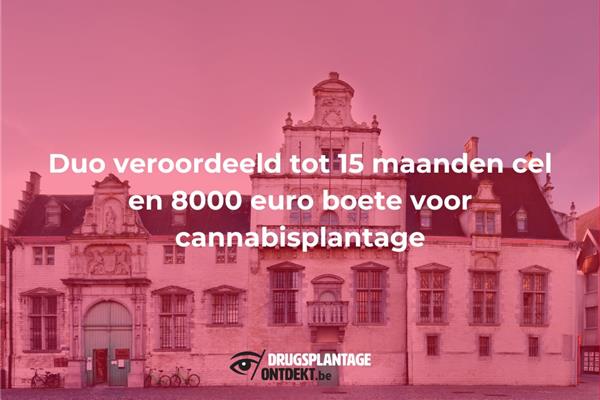 Mechelen - Duo veroordeeld tot 15 maanden cel en 8000 euro boete voor cannabisplantage